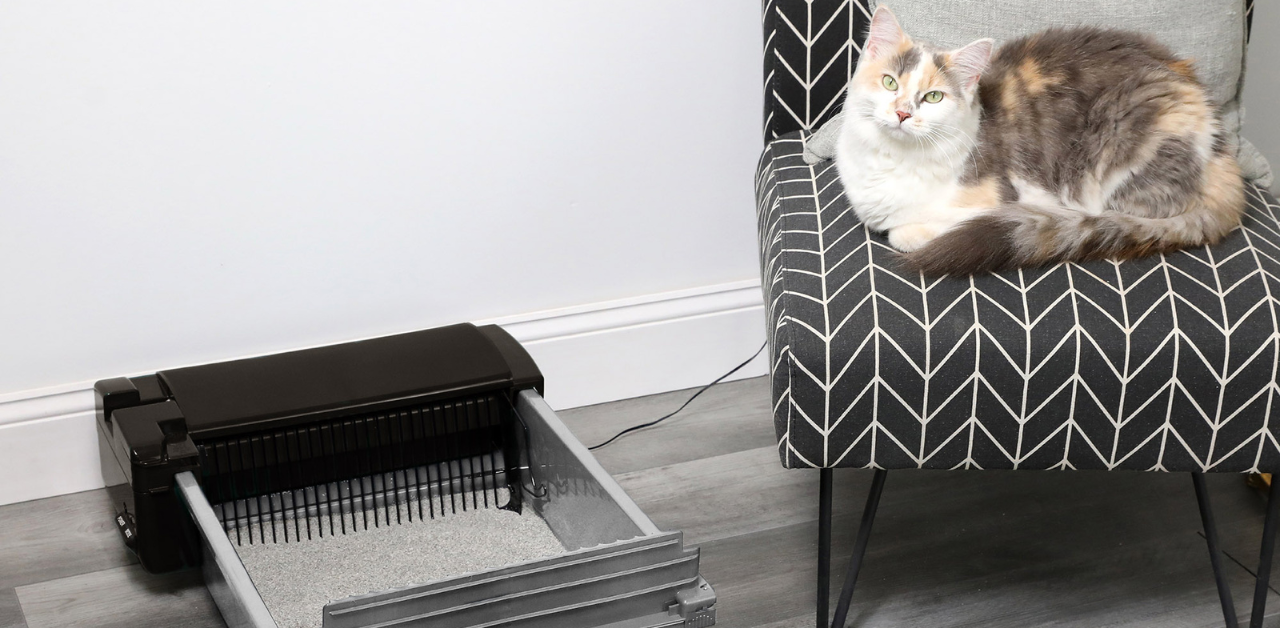 Fluffy calico cat lounges on a black and white patterned chair next to an automatic self-cleaning litter box