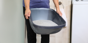 Person holding a plastic litter box filled with clean cat litter in a laundry room or bathroom setting