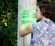 A woman in a floral sleeveless top stands outside, she is putting a bright green sign on a wooden pole. The sigh reads "LOST Large Dog, White Dog, Reward!'