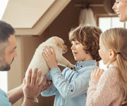 Pets May Improve Social Skills in Children with Autism