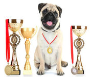 Pet World Records