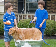 Two Boys Bathing A Dog Outside