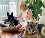 A Look at White House Pets