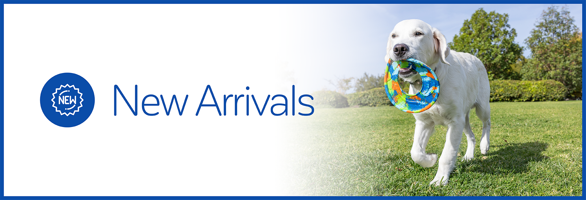 Petmate New Arrivals Collection
