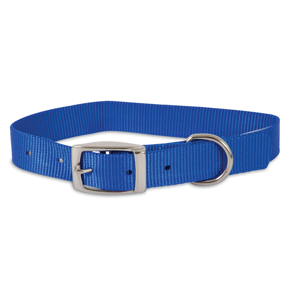 The Petmate Standard Nylon Custom Fit Core Collar for Dogs, in blue, includes a silver buckle and D-ring. Made by Petmate, it features durable nylon with heavy-duty stitching for long-lasting use and multiple adjustment holes for a perfect fit.