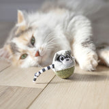 A fluffy cat fixates on the Quirky Kitty Rolly Raccoon Catnip Bobbler Toy, an animal-like toy with a striped tail and cartoon eyes bobbing on a sparkly green ball, triggering its hunting instincts.