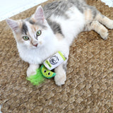 A fluffy gray and white cat with green eyes lounges on a woven mat, clutching a green toy adorned with natural feathers. Its labeled Quirky Kitty Claw Catnip Plush Cat Toy by Quirky Kitty, the cats favorite for endless playtime enjoyment.