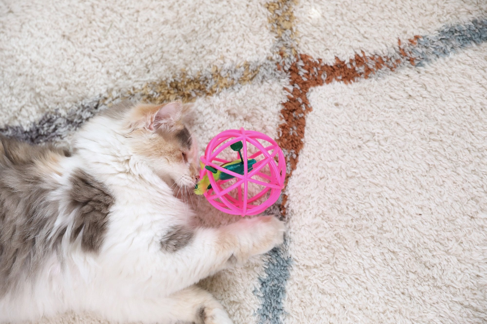 A fluffy white and gray cat lies on a textured rug, playfully batting the Quirky Kitty Guacmeowy Ball of Fury, a pink toy with a green feather that mimics an electronic cat toy.