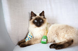 A fluffy Siamese cat with striking blue eyes lounges on a light-colored chair, surrounded by Quirky Kittys Wine & Cheese Catnip Plush set, featuring a blue and white spotted cheese wedge and a plush wine bottle.