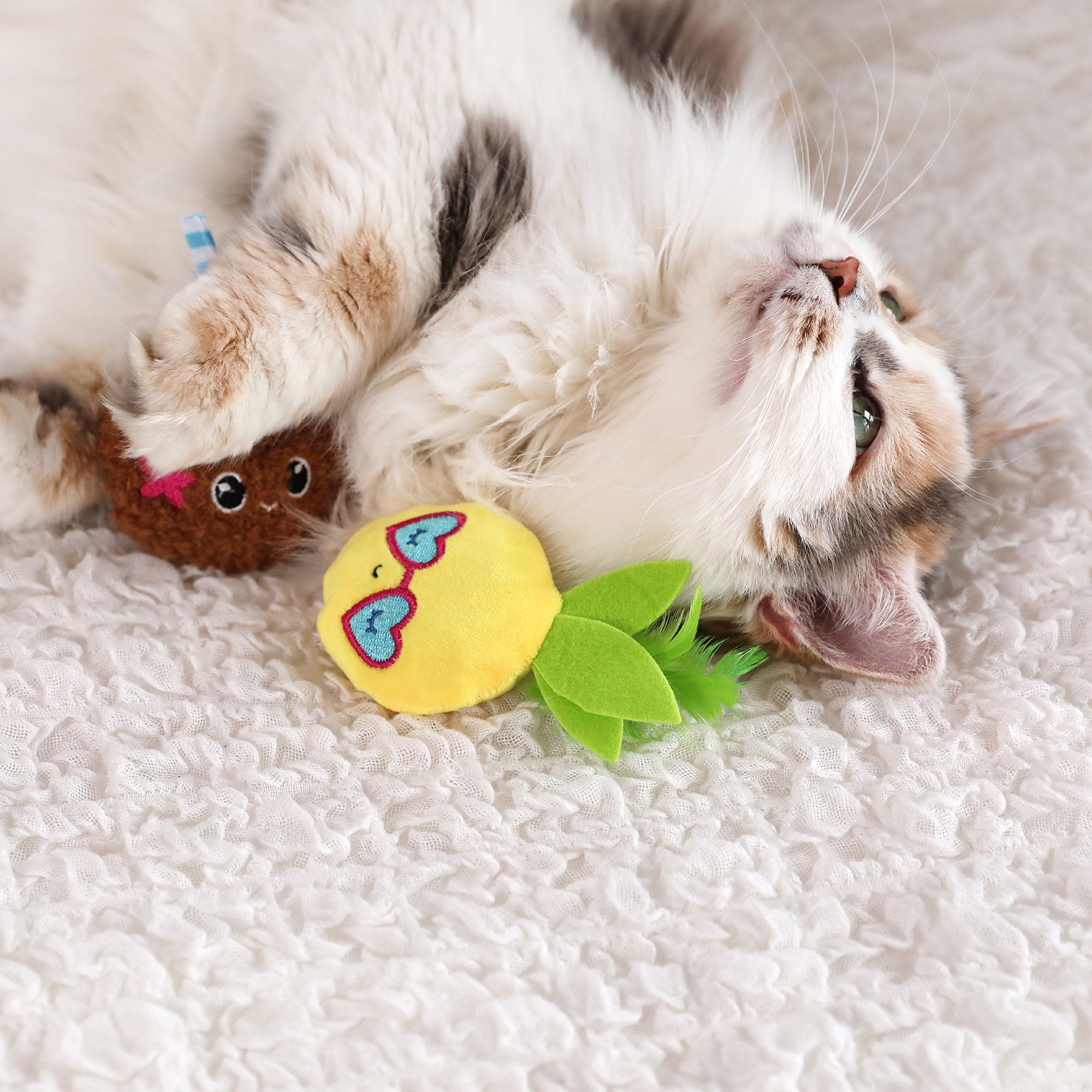 A fluffy white and brown cat lies on its back on a textured white blanket, playfully swatting at colorful plush toys. Among them is the Quirky Kitty Purrfect Pina Colada Catnip Plush Toy, featuring blue sunglasses and green leaves. The content cat appears utterly relaxed.