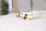 A fluffy white and tabby cat lounges on a textured white bedspread, playing with Quirky Kittys Purrfect Pina Colada Catnip Plush Toy. Soft-colored pillows, crinkle paper beneath one, and a potted plant by a sunlit window complete the background.
