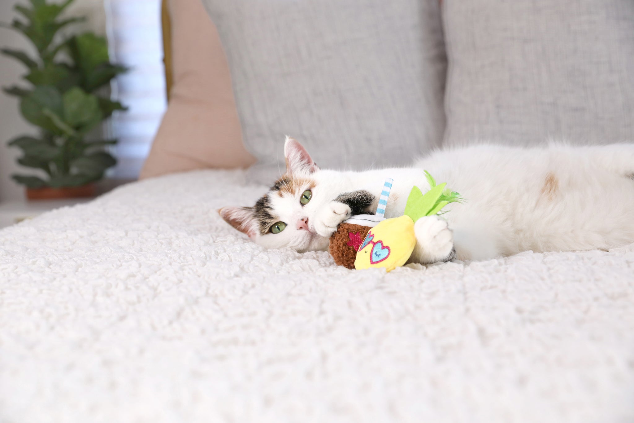 A fluffy white and tabby cat lounges on a textured white bedspread, playing with Quirky Kittys Purrfect Pina Colada Catnip Plush Toy. Soft-colored pillows, crinkle paper beneath one, and a potted plant by a sunlit window complete the background.