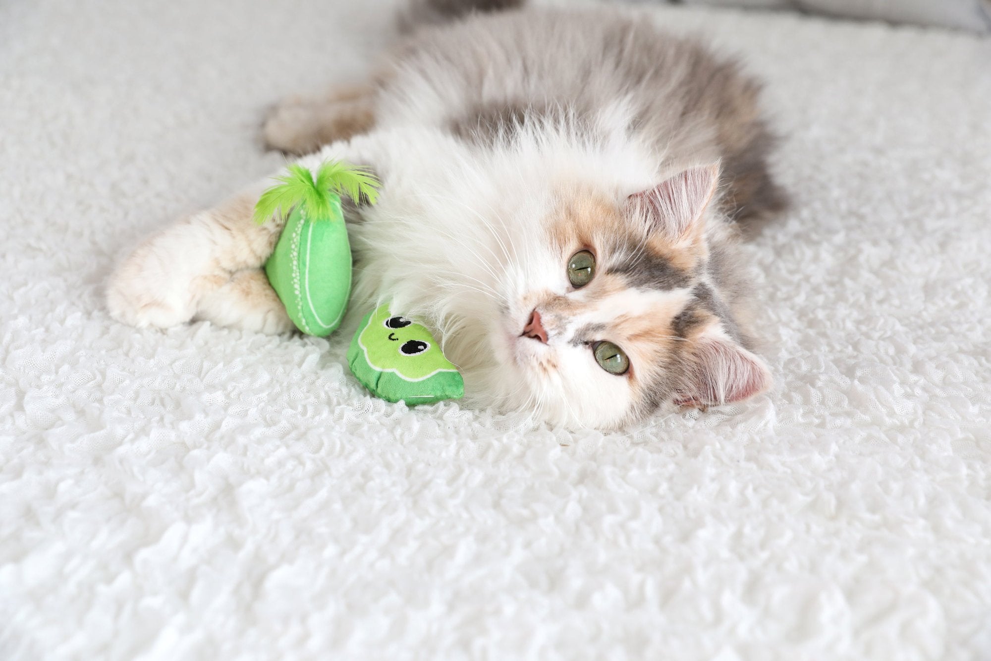 A fluffy kitten lounges on a soft white surface with a Quirky Kitty Meowgarita Time Catnip Plush Toy. Its paw gently rests on the toy, and it gazes forward with relaxed, half-open eyes, seemingly entranced by its cuddly companion.