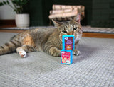 On a carpeted floor, a tabby cat lounges next to two small Mad Cat® Batty Boxes of cat toys: one labeled Purr Scout Cookies and the other Furfetti, with a potted plant and stacked firewood adding a cozy touch.