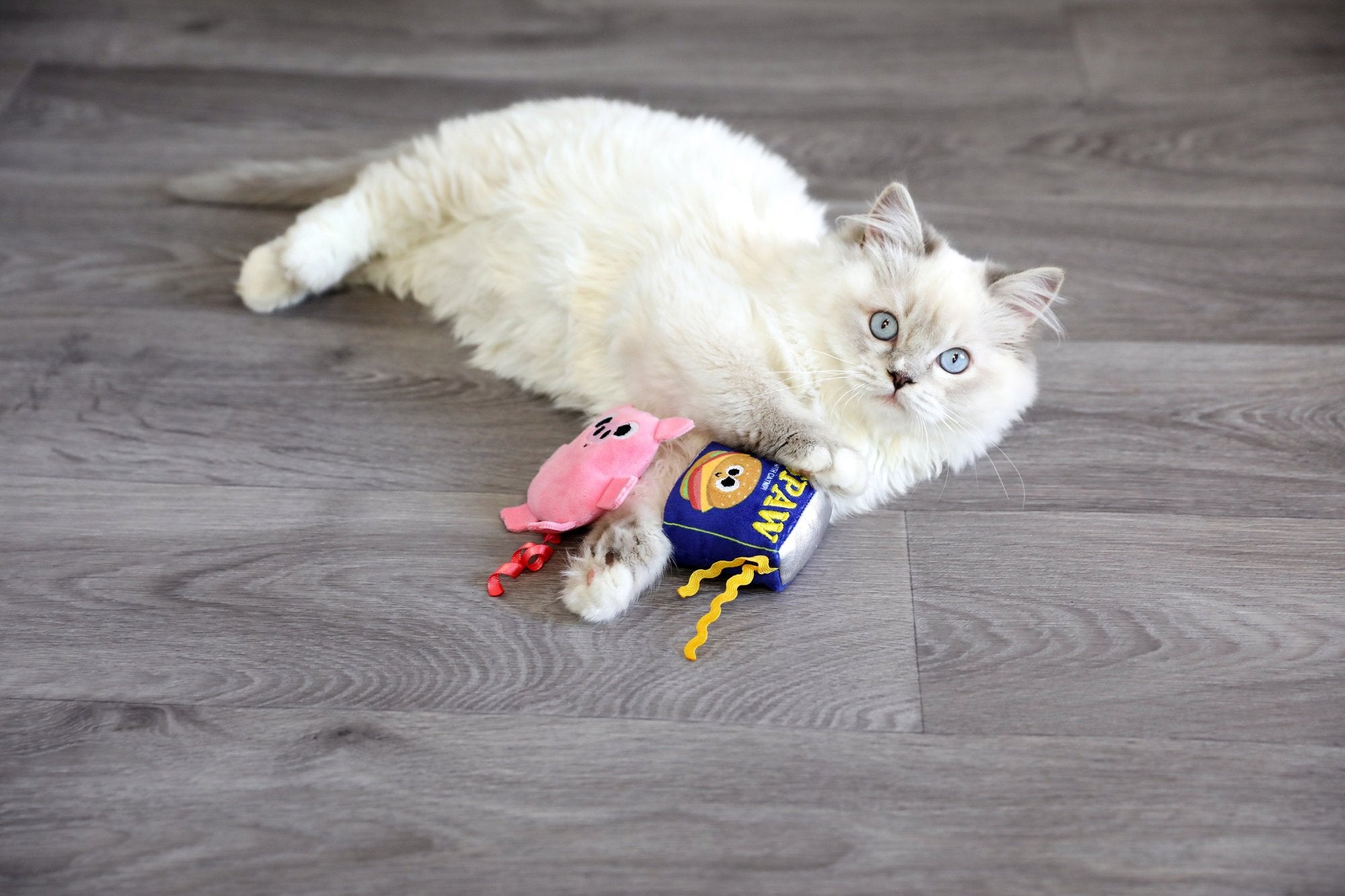 A fluffy white cat with blue eyes playfully holds the Mad Cat Canned Ham, a blue and yellow cat-shaped toy sprinkled with silvervine, lying on a wooden floor beside a charming pink pig toy.