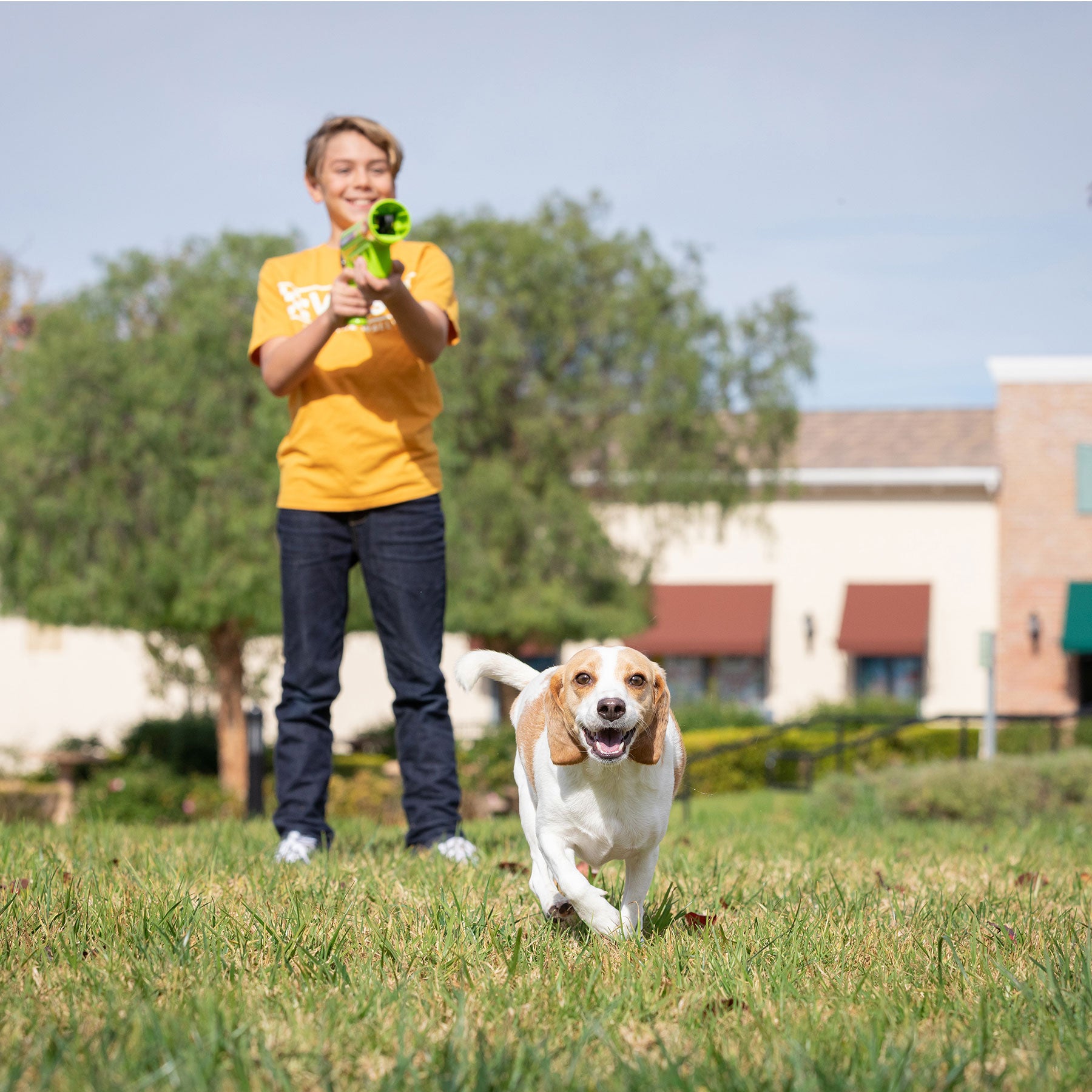 Dressed in a yellow shirt and jeans, someone joyfully uses the Hyperpet K9K2 Kannon Mini Tennis Ball Launcher to play fetch with a beagle sprinting towards the camera in a grassy, tree-lined area with buildings on a sunny day.