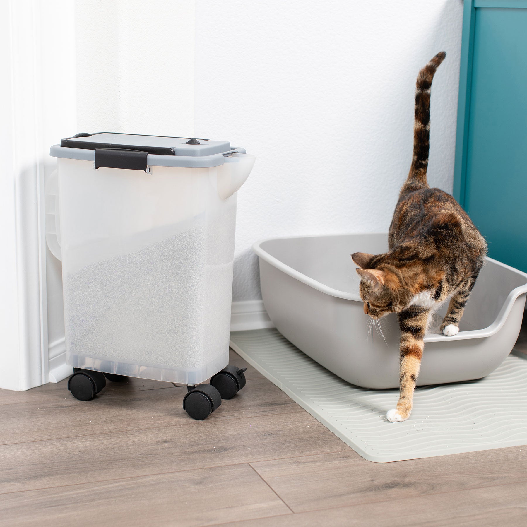 A cat steps out of a grey litter box onto a textured mat. Next to it sits the PetFusion BetterBin Portable Litter Storage Container, made from durable plastic and partially filled with litter, resting on a wooden floor against a white wall.