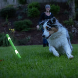 A playful dog with blue eyes chases a Petmate Chuckit! Day & Night Ultra Fetch Stick 2 Pack on grass, while a smiling person in a beanie looks on in the blurred background.