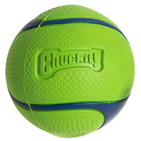 The Chuckit! Sniff Fetch Ball Duo, by Chuckit, features durable natural rubber with a textured green and blue design and embossed Chuckit! logo, ideal for pet play.