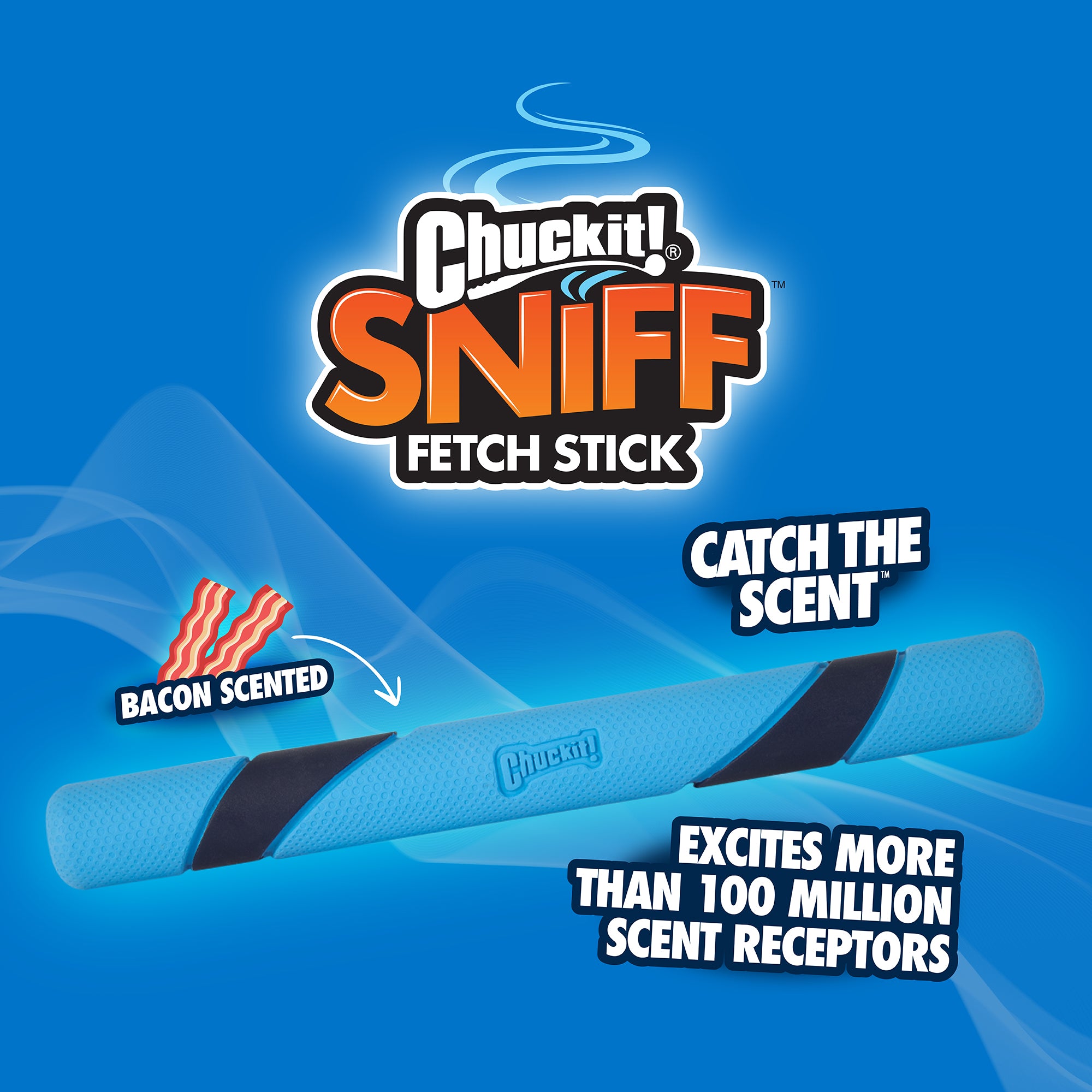 A Chuckit Bacon Scented Sniff Fetch Stick, crafted from sturdy natural rubber, rests on a blue background. Its enticing bacon scent captivates over 100 million scent receptors during every play session.