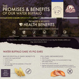 Infographic compares the health benefits of Wild Eats Braided Paddywack water buffalo ears to pig ears, highlighting natural nutrition, low fat, and digestibility. Grass-fed and hormone-free features with a focus on dental health chews. Includes Wild Eats brand logo.