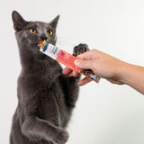 A gray cat eagerly licks a Wild Eats Simply Puree Ahi Tuna Cat Treat, rich in Omega-3, from a persons hand. The natural ingredient treat comes in a vibrant tube against a plain white background.