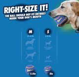 A Chuckit! Squeaker Tennis Ball is held by a dog against a blue background. Text suggests using Medium (2.5 in) balls for dogs 20-60 lbs and Small (2 in) for 0-20 lbs. Ideal for fetch, silhouettes include Golden Retriever, Boxer, Jack Russell Terrier, Chihuahua. Available as a 2-pack by Chuckit!.