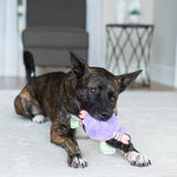 A brindle dog playfully bites a FAT CAT Gruntleys Mini Dog Toy from Fatcat on a beige carpet. The modern vibe of the room is enhanced by a dark brown chair and a geometric metal side table while the dog enjoys the toys pork-like sound device.