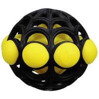 JW Arachnoid Ball Dog Toy