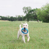 A white dog joyfully runs through a grassy field, holding a Chuckit Rugged Fetch Wheel, as durable ridges promise endless fun beneath cloudy skies and swaying trees.
