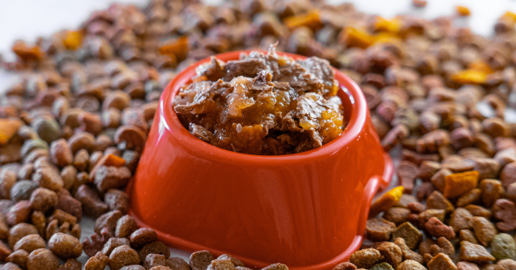 5 Simple Tips to Make Sure Your Cat Drinks Enough Water