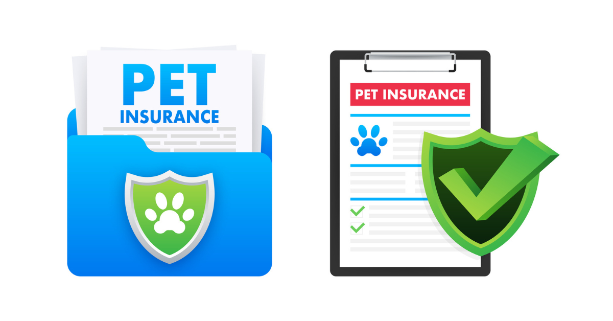 Best Pet Insurance in 2024