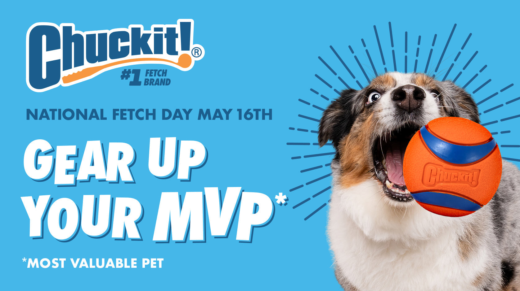 Petmate and Chuckit! Kick Off Fetch Season With National Fetch Day