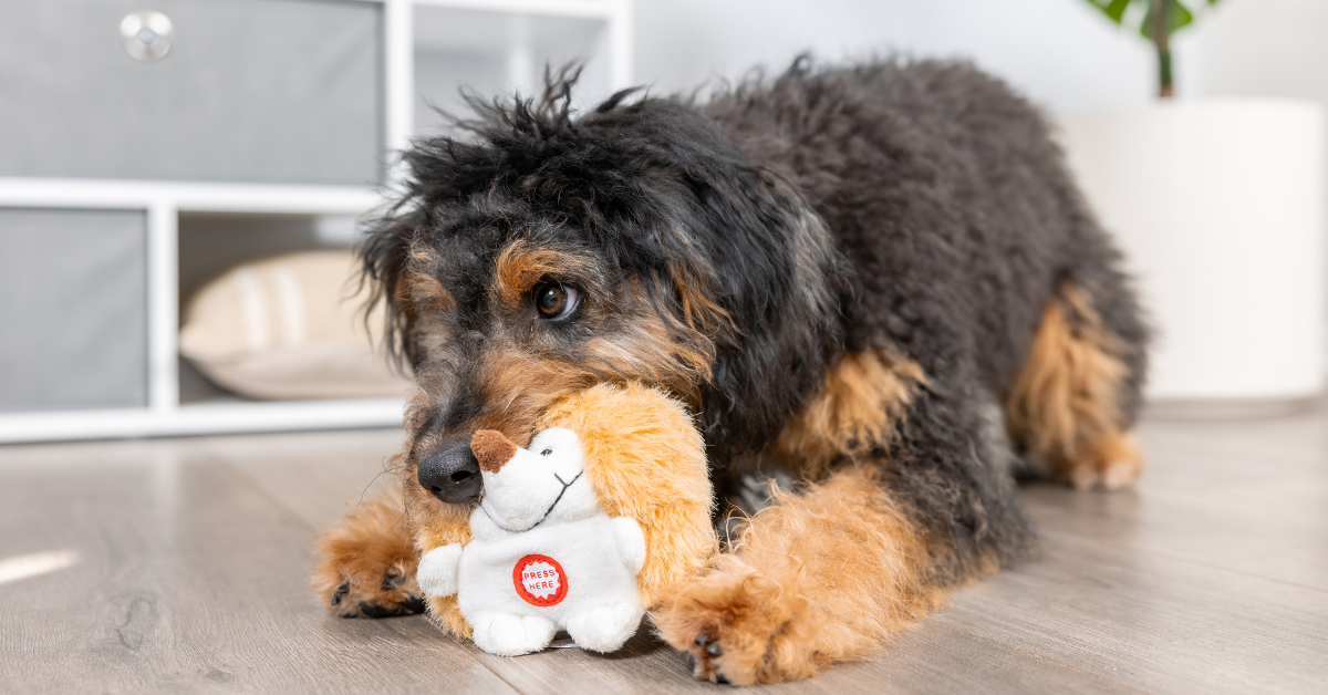 Dogs_Their_Plush_Toy_Obsession_046359cc-500c-4ffe-826a-4daa185a38d0.png?v=1746288899&width=1920