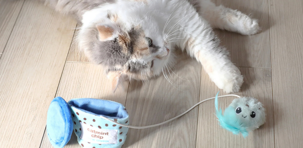 Fluffy cat lying on the floor beside a blue cat toy labeled catmint chip cream, connected to a feathery toy on a string