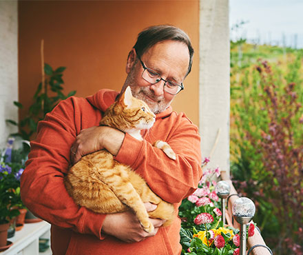 Adopting A Senior Cat