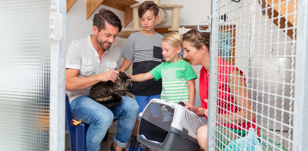 Smiling family meeting a tabby cat inside a pet adoption center, preparing to take it home