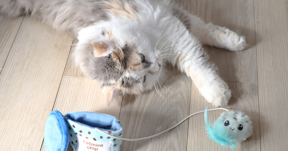 A white and grey cat lays on a wood floor playing with the Quirky Kitty Mice Cream Hide-A-Toy Cat Toy