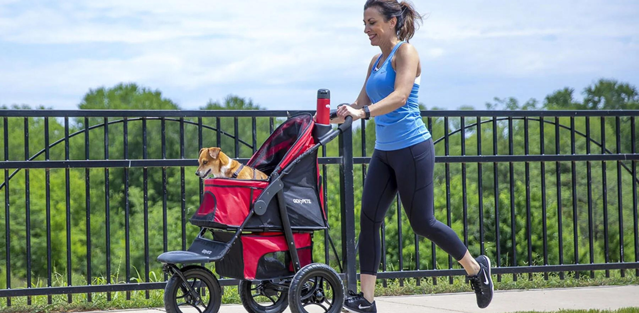 Outside on a side walk lines with a metal fence, a woman is running while pushing a small dog in a red pet stroller.