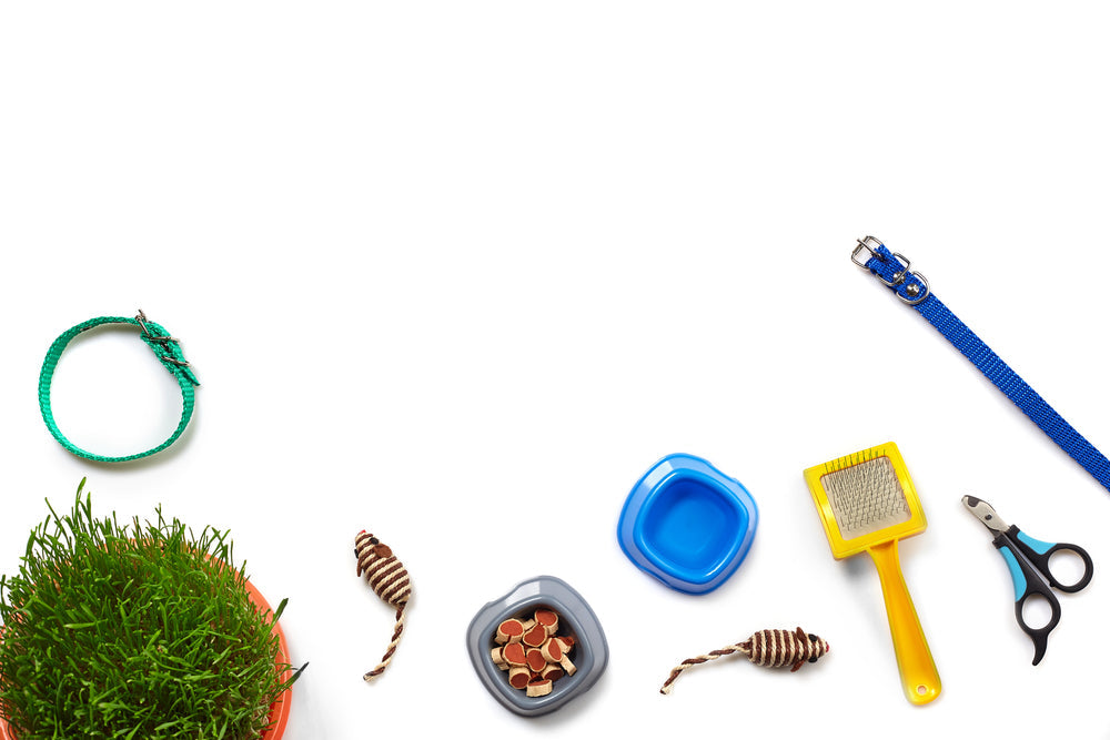 Useful Cat Items You Didn't Know You Needed