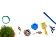 Useful Cat Items You Didn't Know You Needed
