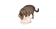 A brown tabby drinks out of the Petmate Deluxe Fresh Flow Fountain For Cats in the color Bleach Linen.