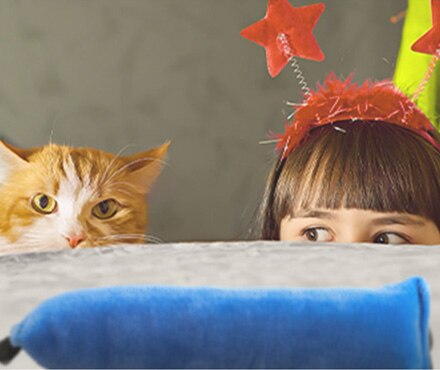 The Do's and Don'ts of Catnip