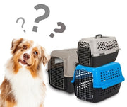 A dog next to a collection of Petmate plastic kennels