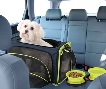 Ready to Travel with Your Pet?