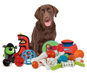 A dog with an assortment of toys from Petmate