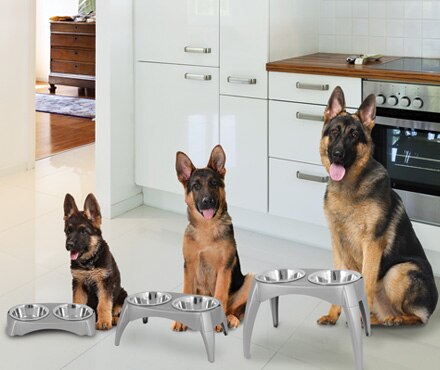 How to Pick the Right Bowl for Your Pet