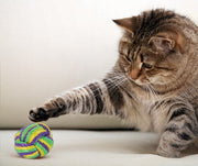 Cat Toys - Importance of Play for Cats
