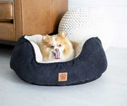 Bedding: What Type is Right for My Pet & Why are Beds Important?