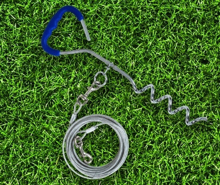 Petmate Tie Out Stake For Dogs